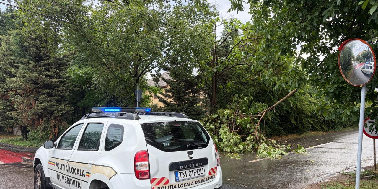 Poliția Locală și ISU au intervenit de urgență pentru înlăturarea efectelor vremii extreme de duminică