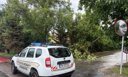 Poliția Locală și ISU au intervenit de urgență pentru înlăturarea efectelor vremii extreme de duminică