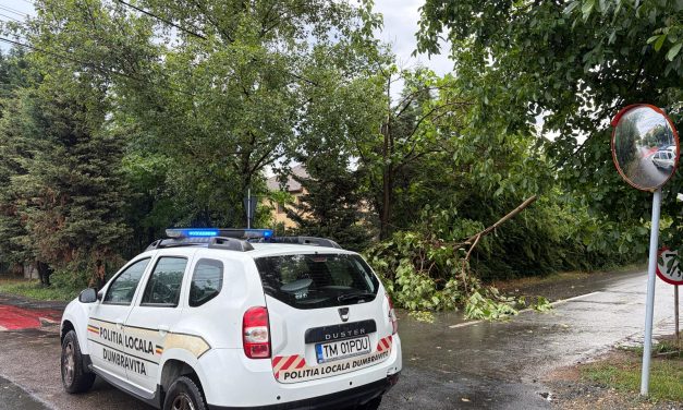 Poliția Locală și ISU au intervenit de urgență pentru înlăturarea efectelor vremii extreme de duminică