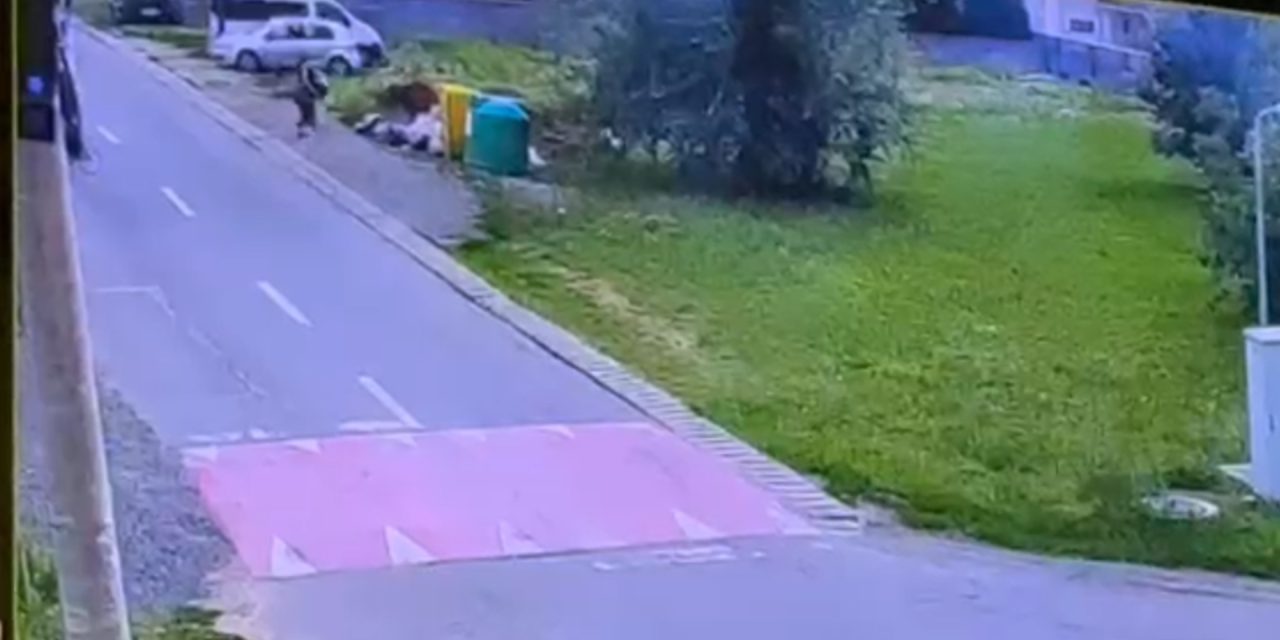Abandonul de deșeuri, o nepăsare scumpă care ne costă pe toți