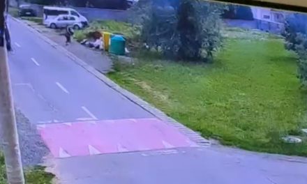 Abandonul de deșeuri, o nepăsare scumpă care ne costă pe toți