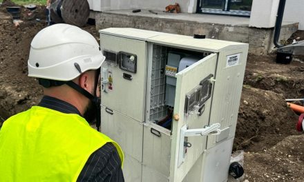 Rețele Electrice Banat/Sistări temporare de energie electrică în Dumbrăvița