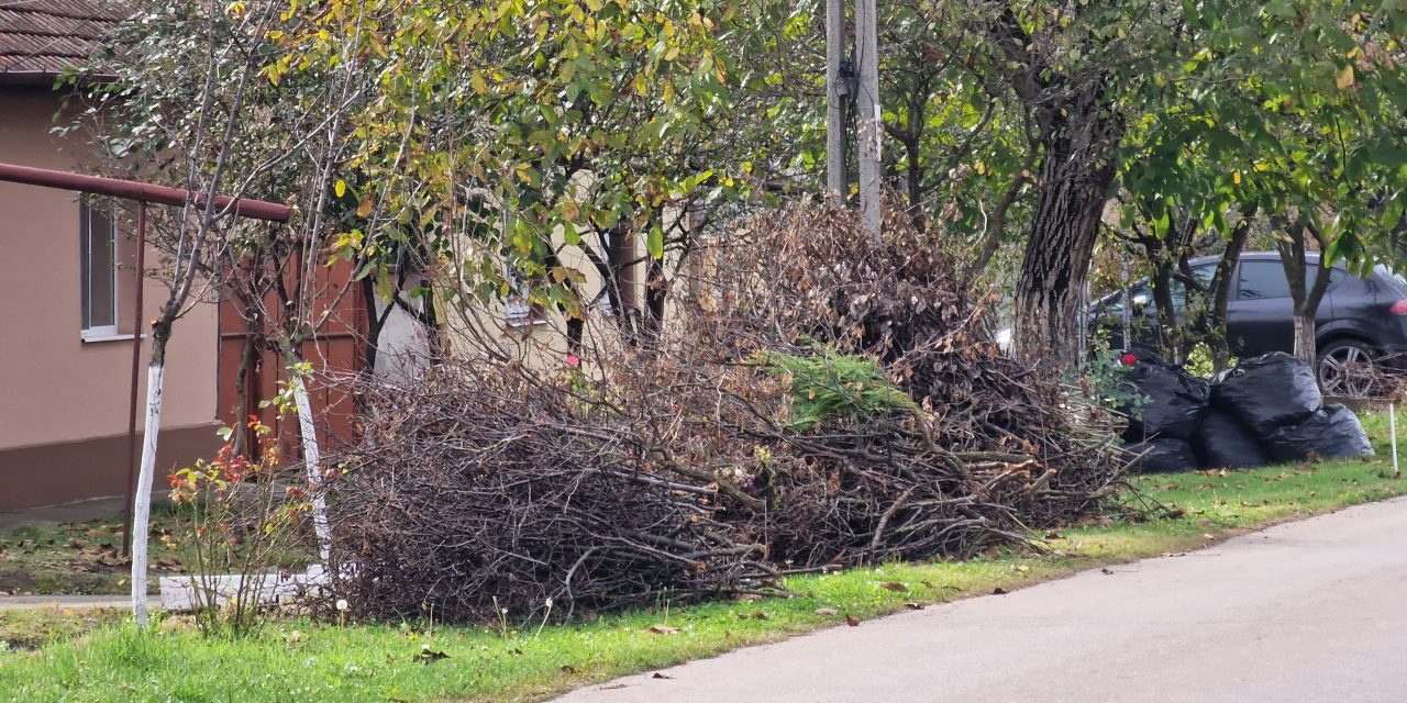 Campania de toamnă pentru colectarea crengilor în Dumbrăvița începe pe 15 noiembrie