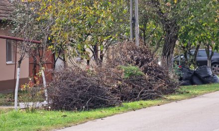 Campania de toamnă pentru colectarea crengilor în Dumbrăvița începe pe 15 noiembrie